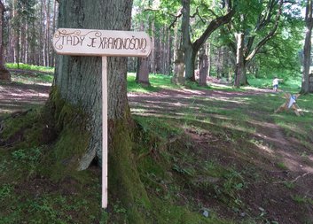 Proběhla Charitní pouť 2019