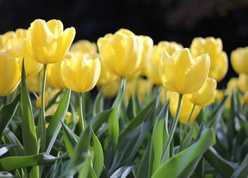 Charitní akce se přesouvají