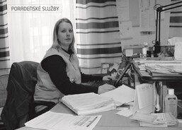 Poradenské služby - rok 2012